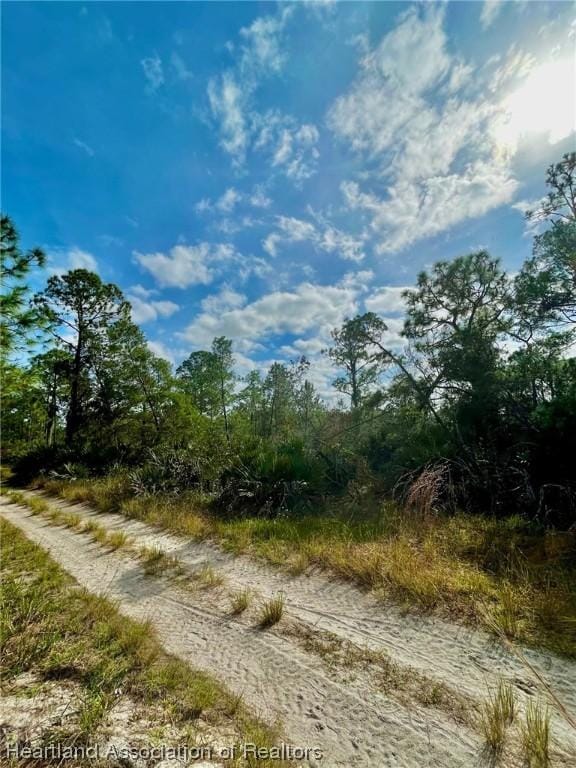 1833 Nectar Ave, Sebring FL, 33875 land for sale