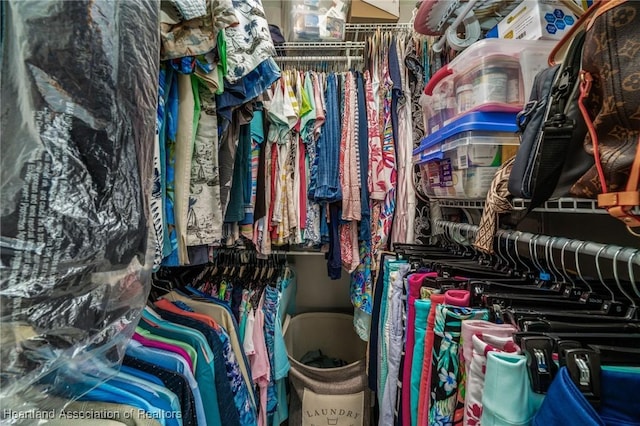 view of spacious closet