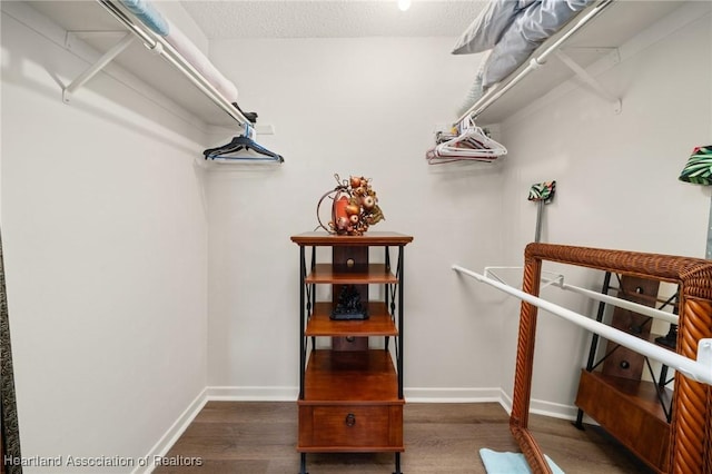 19 A Miracle Ave, Avon Park, FL 33825 - spacious closet featuring wood finished floors