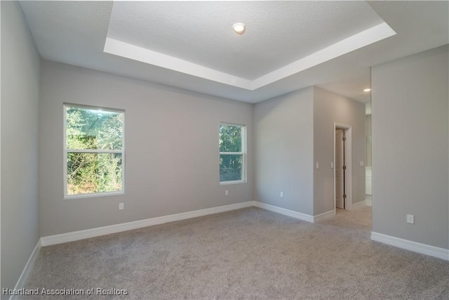 unfurnished room featuring a textured ceiling, light colored carpet, a raised ceiling, and a healthy amount of sunlight