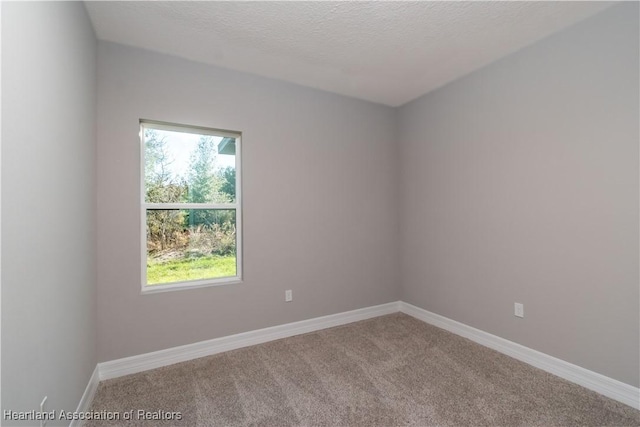 unfurnished room featuring carpet floors and a textured ceiling