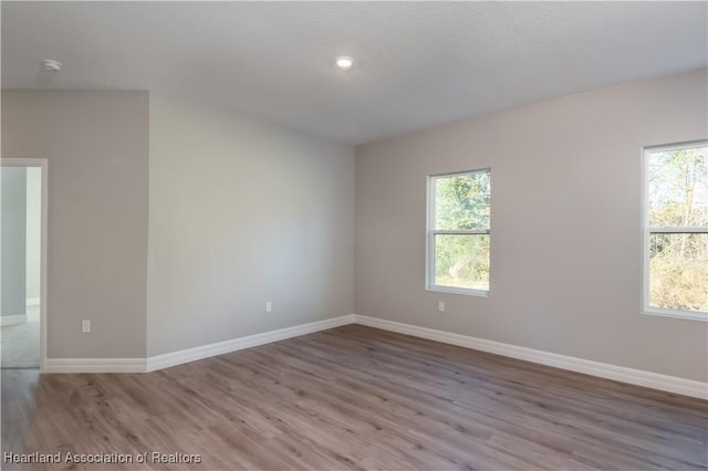 empty room with a healthy amount of sunlight and light hardwood / wood-style flooring