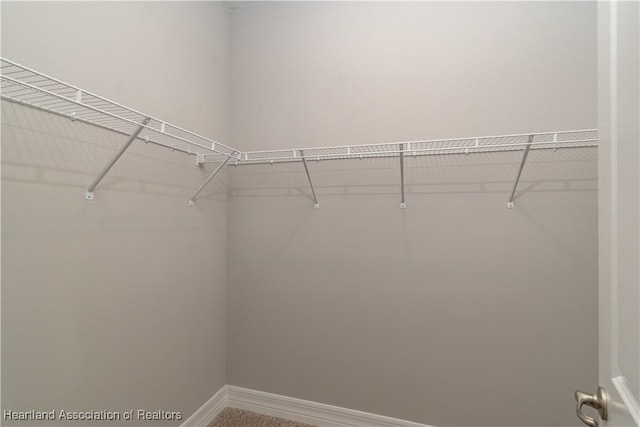 view of walk in closet