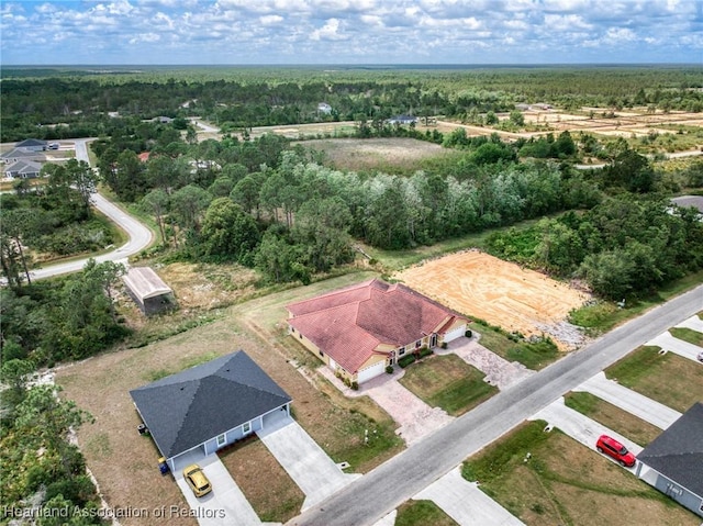 6918 San Benito Dr, Sebring, FL 33872 - bird's eye view of a heavily wooded area