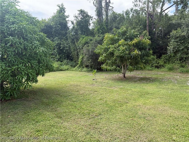 350 Bottlebrush Ave, Lake Placid, FL 33852 - photo 35