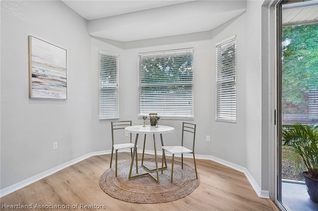 dining area featuring light hardwood / wood-style flooring and plenty of natural light