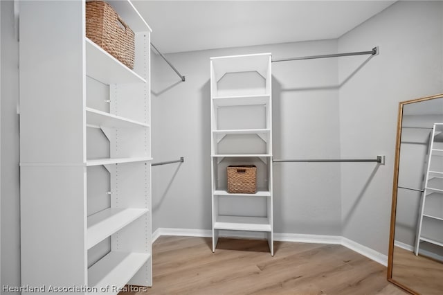 spacious closet featuring light hardwood / wood-style flooring