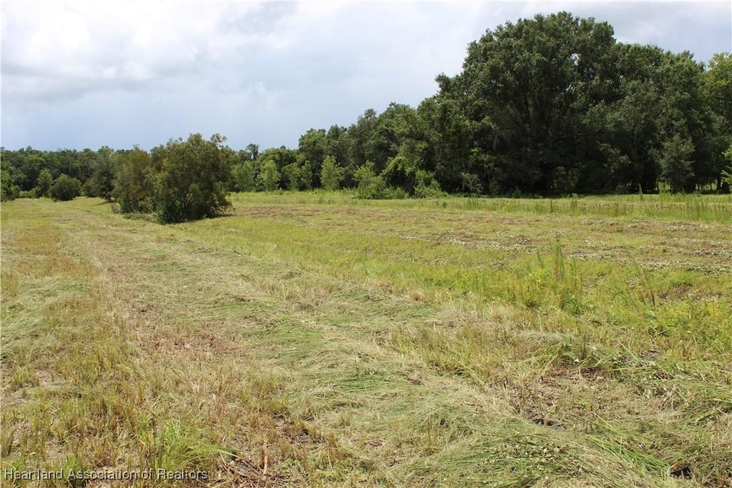 0 Terrell Rd, Wauchula, FL 33873 - photo 1