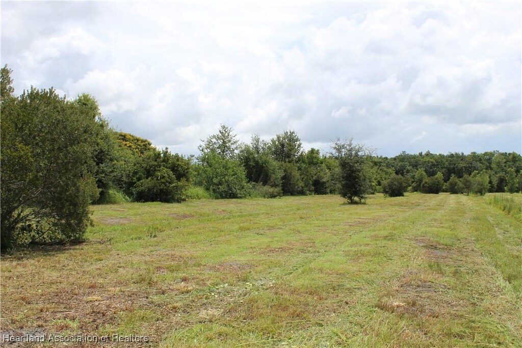0 Terrell Rd, Wauchula, FL 33873 - photo 3