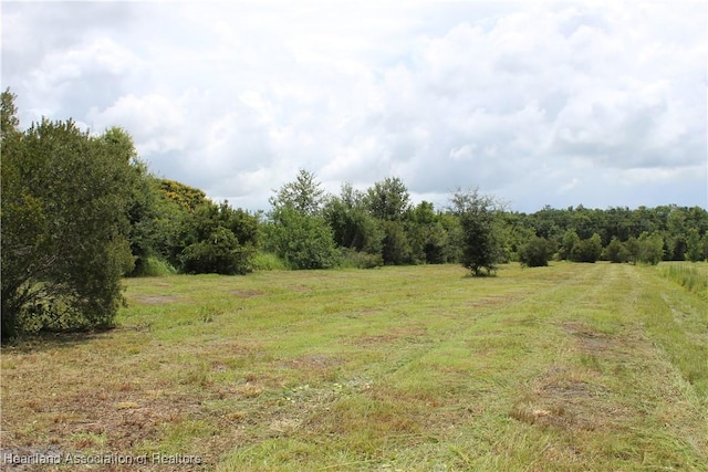 0 Terrell Rd, Wauchula, FL 33873 - photo 3