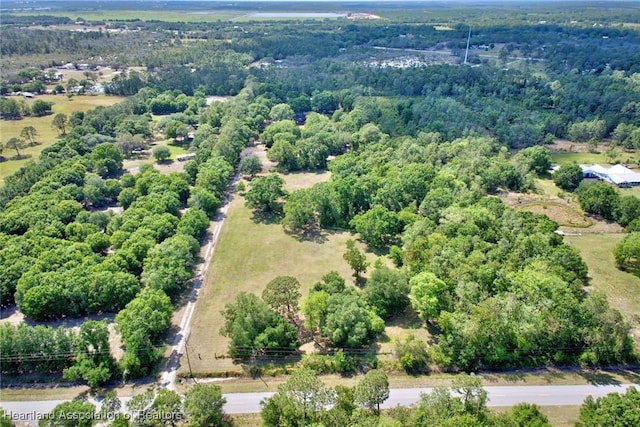 1683 N Riverdale Rd, Avon Park, FL 33825 - photo 18