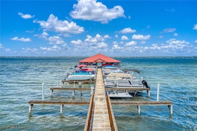 dock area with a water view