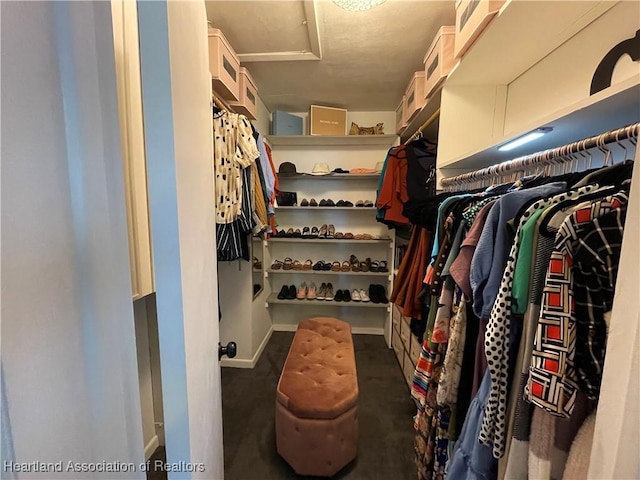 walk in closet with attic access