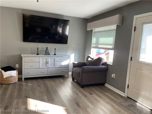 living room with baseboards and light wood-style floors