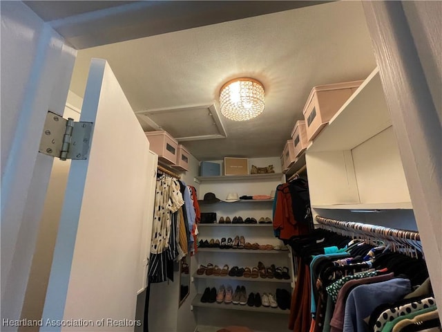 walk in closet with attic access