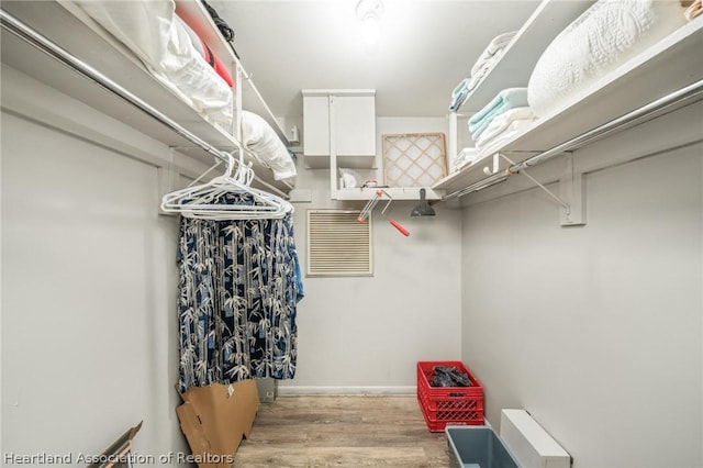 spacious closet with light wood-type flooring