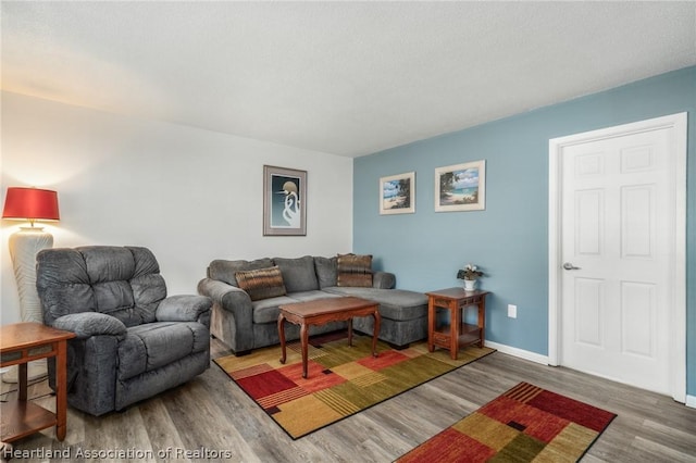 living room with hardwood / wood-style floors