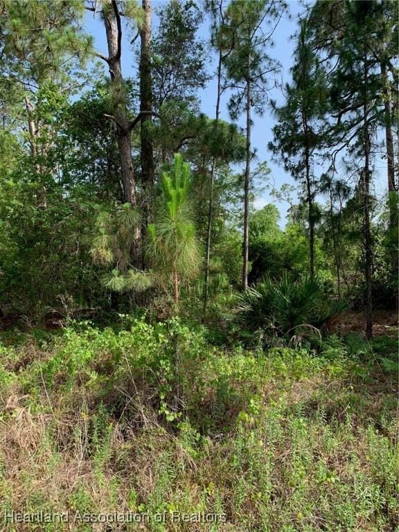 10828 Bending Oak Dr, Sebring FL, 33875 land for sale