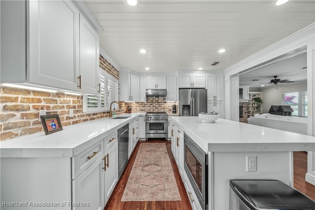 kitchen featuring appliances with stainless steel finishes, dark hardwood / wood-style flooring, ceiling fan, sink, and white cabinetry