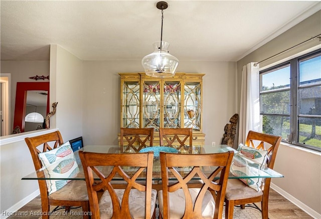 dining room featuring hardwood / wood-style floors and plenty of natural light