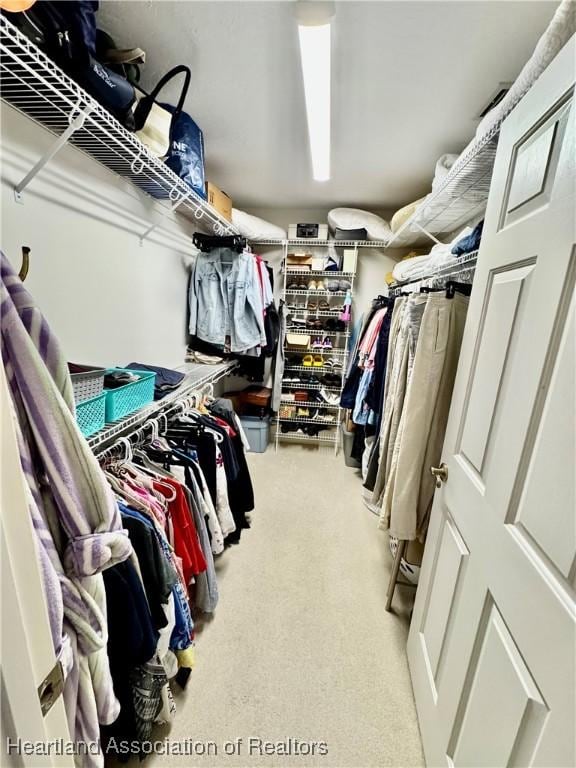 walk in closet featuring light carpet