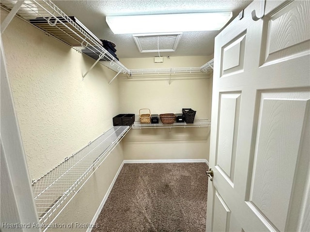 spacious closet featuring attic access and carpet