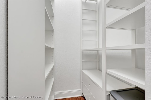 walk in closet with hardwood / wood-style floors