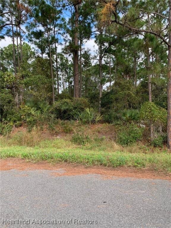 109 Suwannee Ln, Lake Placid FL, 33852 land for sale