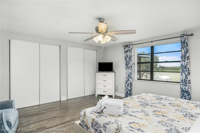 bedroom with dark hardwood / wood-style flooring, ceiling fan, and multiple closets