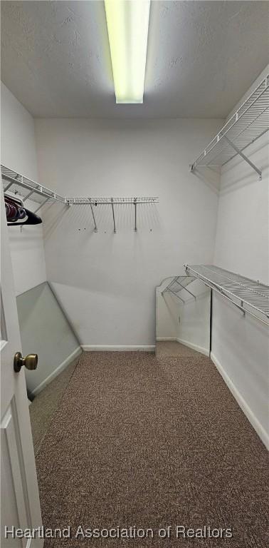 spacious closet with carpet flooring