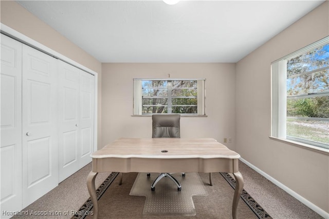 carpeted office space featuring a healthy amount of sunlight