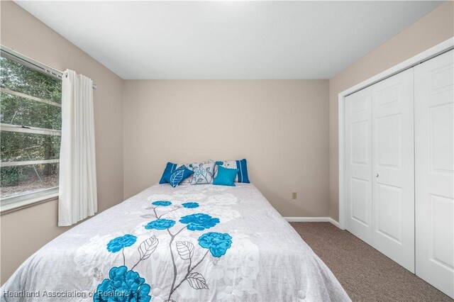 bedroom with carpet flooring, multiple windows, and a closet