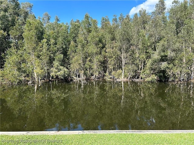 water view with a wooded view