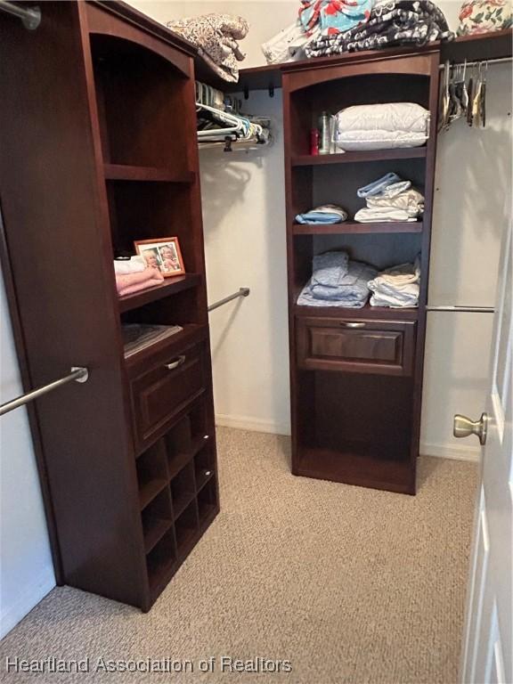 walk in closet featuring carpet flooring