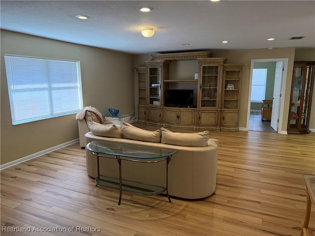 living room featuring light hardwood / wood-style floors