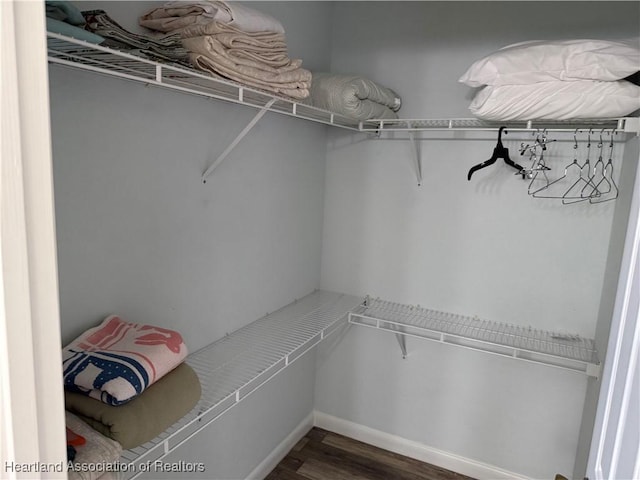 spacious closet with dark hardwood / wood-style floors