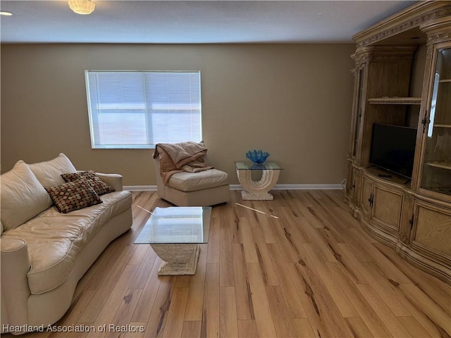 living room featuring light hardwood / wood-style floors