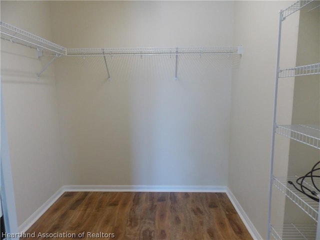 spacious closet with dark hardwood / wood-style flooring