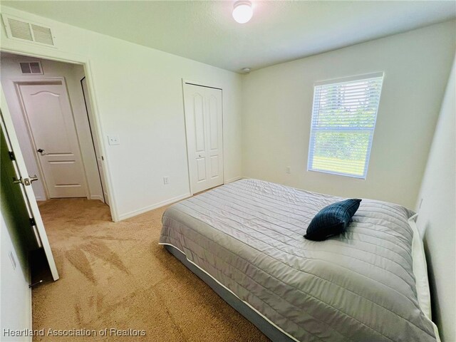 5310 Pebble Dr, Sebring, FL 33872 - bedroom with light carpet and a closet