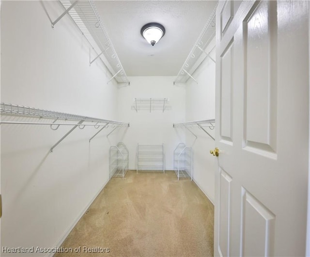spacious closet featuring light carpet