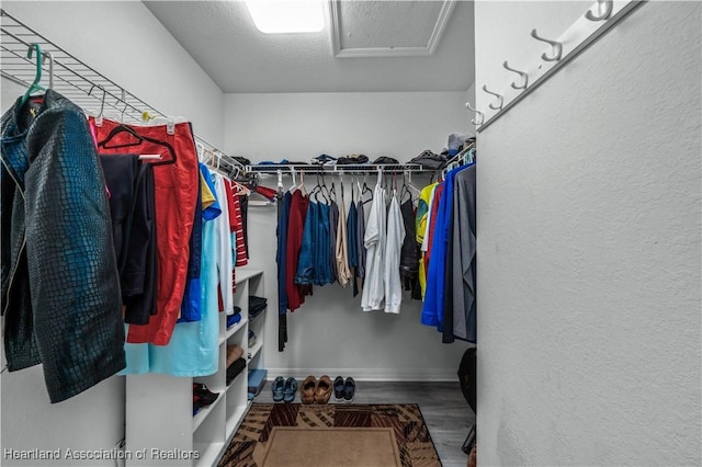 spacious closet featuring wood-type flooring