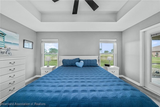 bedroom featuring hardwood / wood-style flooring, a raised ceiling, and ceiling fan