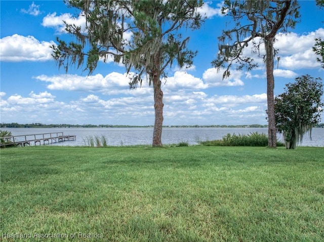 view of yard featuring a water view and a boat dock