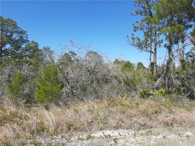 109 NE Elba Dr NE, Lake Placid, FL 33852 - photo 4