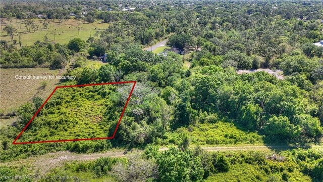 1507 Spring Ln, Lake Placid, FL 33852