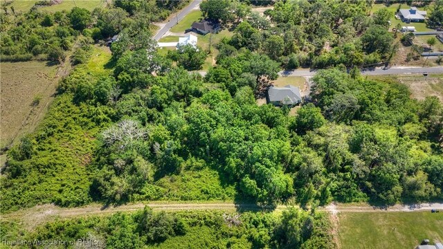 1507 Spring Ln, Lake Placid, FL 33852