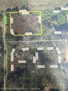 1507 Spring Ln, Lake Placid, FL 33852