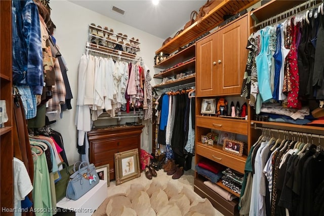 view of spacious closet