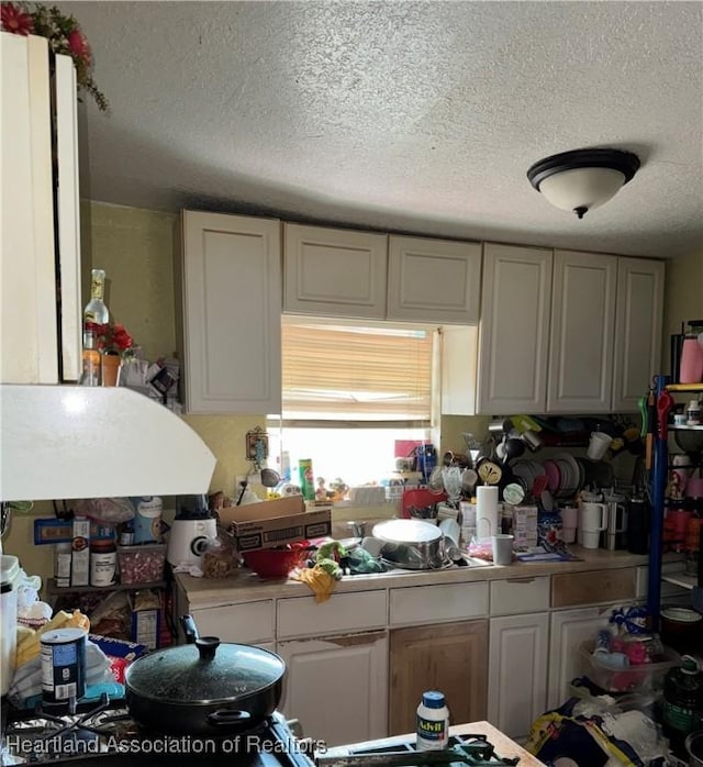 205 E Townsend St, Wauchula, FL 33873 - kitchen featuring a textured ceiling and light countertops