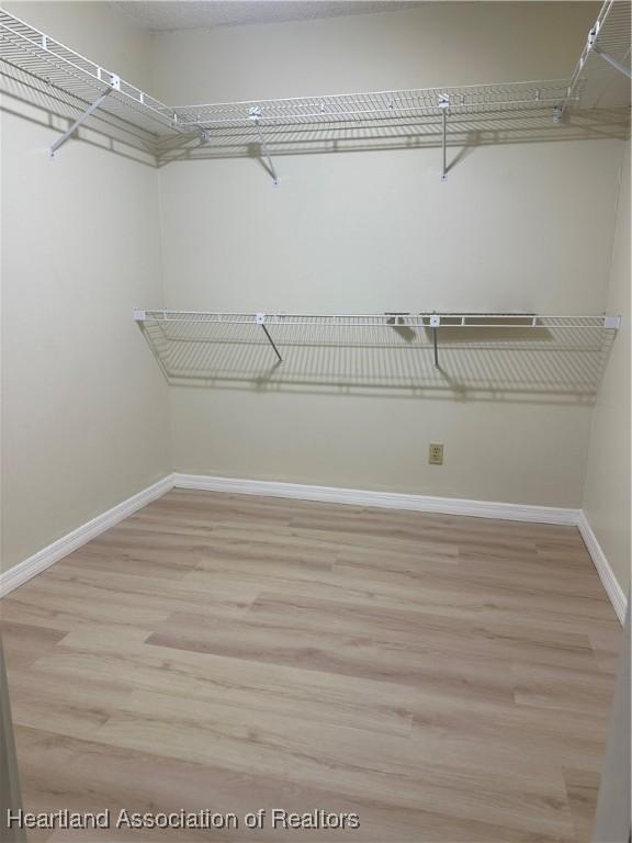 walk in closet with light hardwood / wood-style flooring